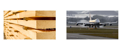 you WISH the filename was the answer (16).jpg