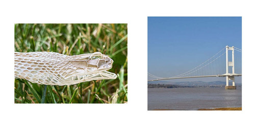 you WISH the filename was the answer (21).jpg