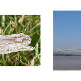 you WISH the filename was the answer (21)