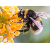 you WISH the filename was the answer (17)