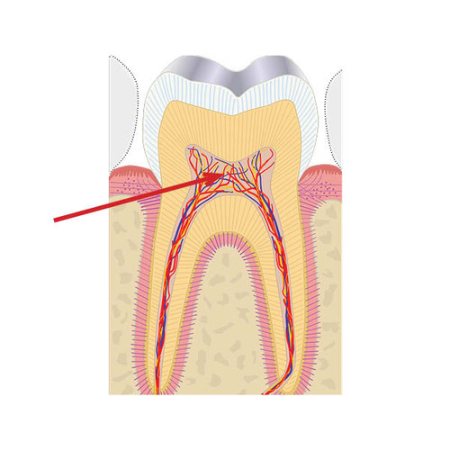 you WISH the filename was the answer (22).jpg