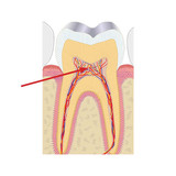 you WISH the filename was the answer (22)