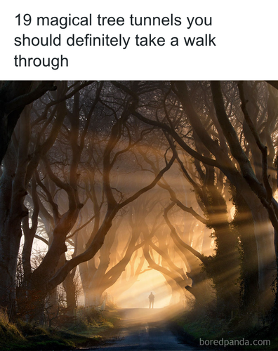 download 2025 10 30T113940.507.png