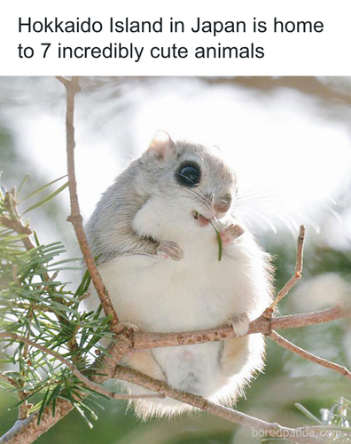 download 2025 10 30T105306.485.png