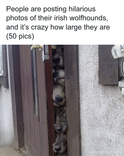 download 2025 10 31T083614.791.png