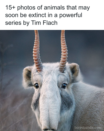 download 2025 10 31T093226.967.png