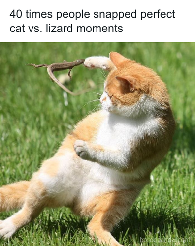 download 2025 10 31T093721.037.png