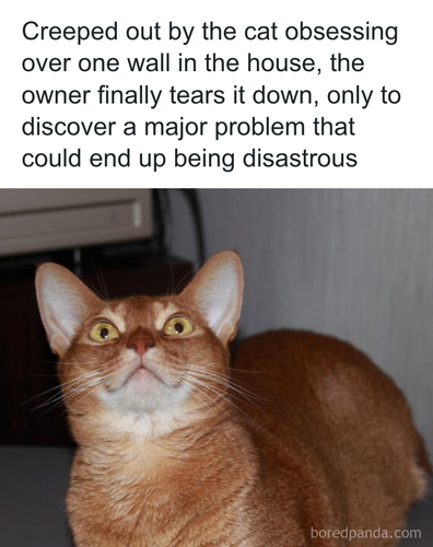 download 2025 10 31T090023.009.png