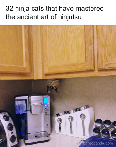 download 2025 10 31T085012.628.png