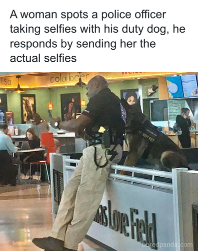 download 2025 10 31T092949.517.png