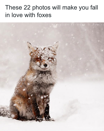 download 2025 10 31T083923.375.png