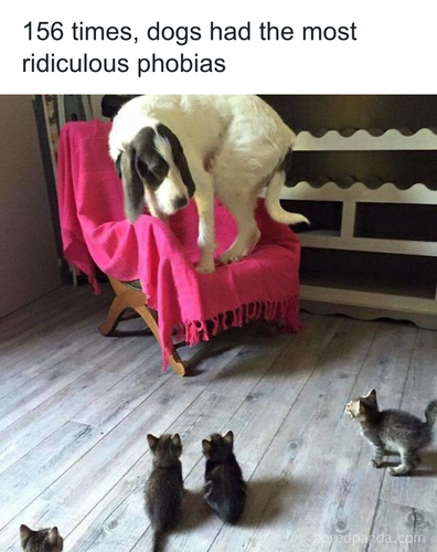 download 2025 10 31T085154.078.png