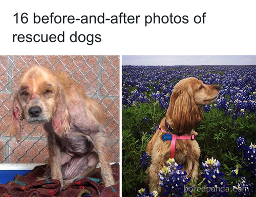 download 2025 10 31T091511.375.png