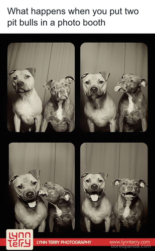 download 2025 10 31T092609.470.png