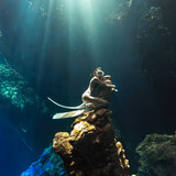 ACH06499 已增強 雜訊減少