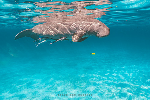 84DB4554 8027 4253 B55A 1EE83FDF20DC 1 102 o.jpg