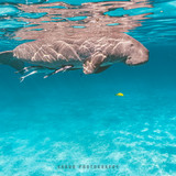 84DB4554 8027 4253 B55A 1EE83FDF20DC 1 102 o