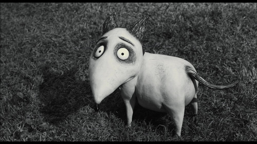 vlcsnap 2025 10 30 16h57m21s711.jpg