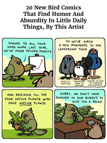 funny comics chubby birds birdchonk part 2.jpg