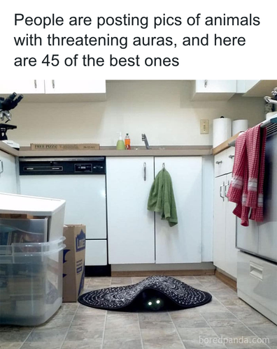 download 2025 10 30T083131.410.png