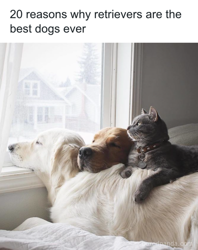 download 2025 10 30T084517.634.png