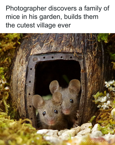 download 2025 10 30T082505.567.png