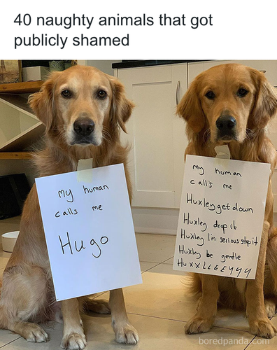 download 2025 10 30T084748.503.png