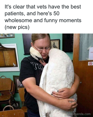 download 2025 10 30T083742.278.png
