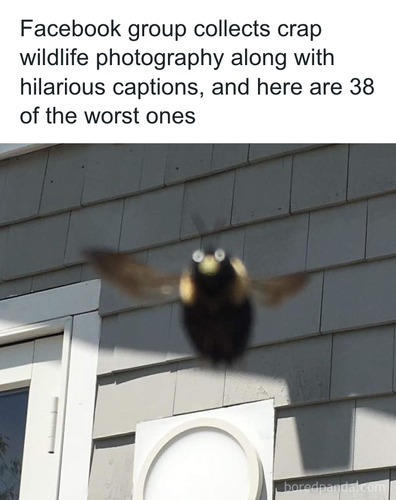 download 2025 10 30T084319.003.png