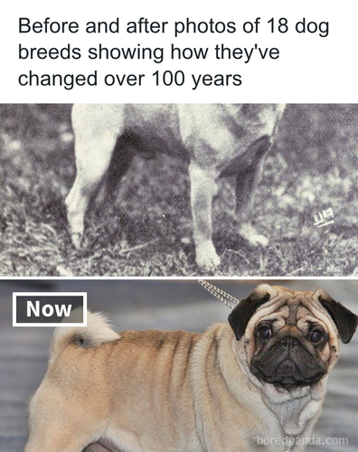 download 2025 10 30T085821.323.png