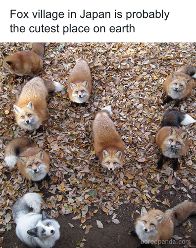 download 2025 10 30T083847.652.png