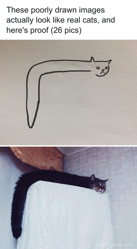 download 2025 10 30T091954.025.png