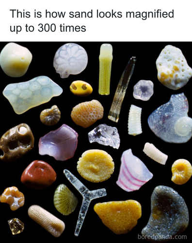 download 2025 10 30T100232.245.png