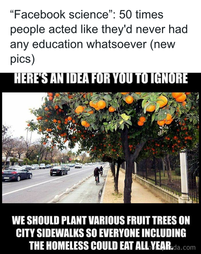 download 2025 10 30T100504.863.png