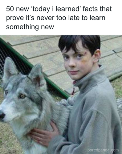 download 2025 10 30T101506.978.png