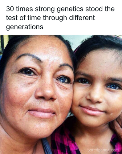 download 2025 10 30T095937.965.png