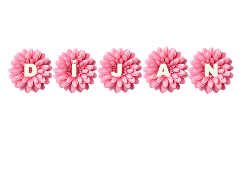 dijan (1).png