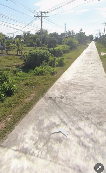 572494431 2438685929859486 2204925229469639507 n.jpg