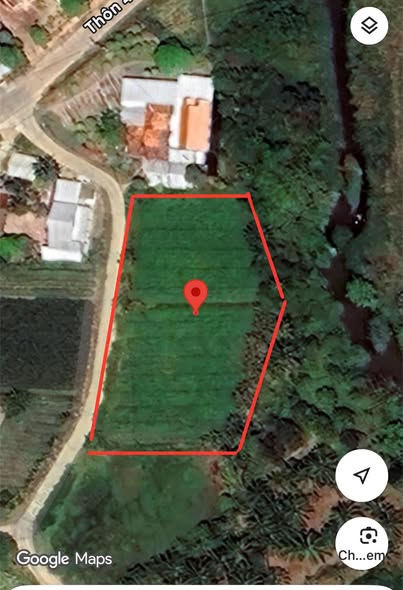 573286089 843641798427287 8177083616361686784 n.jpg