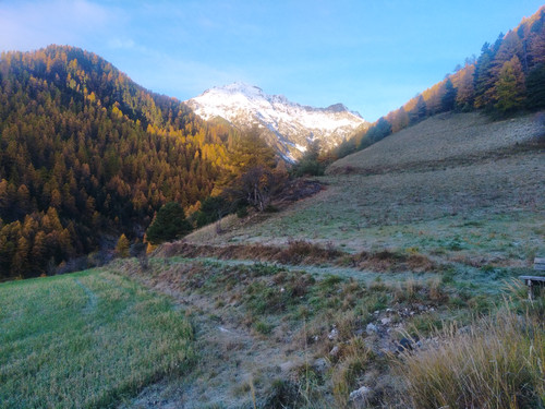 IMG 20251031 073425.jpg