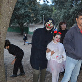 DSC 0224