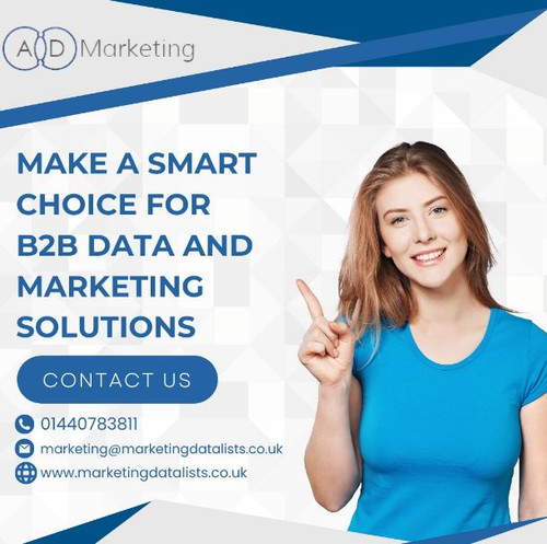 Top B2B Database Providers for Quality Leads.jpg