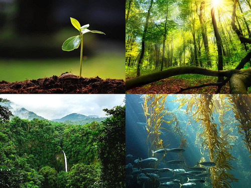 ' Glorified is Allaah-God , The All-Mighty Creator '.jpg