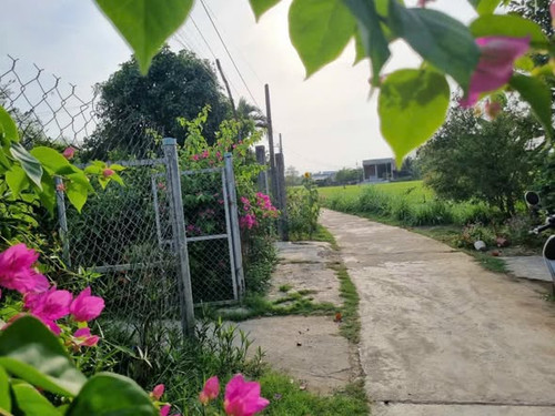 574095122 1157065029858336 2368730852001839249 n.jpg