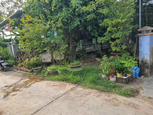 572769616 1157065076524998 4960681140583845557 n.jpg