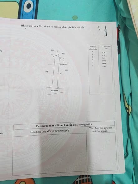 574056619 1157065039858335 642590443404748966 n.jpg