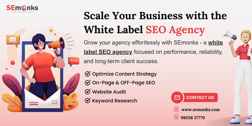 Scale Your Business with the White Label SEO Agency.jpg