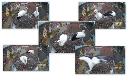 Bilder5.jpg