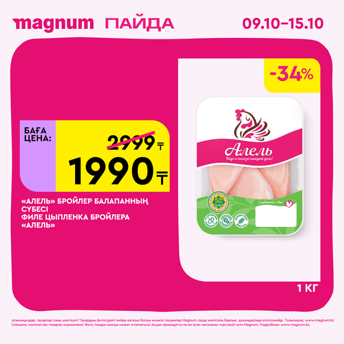 Magnum 1620x1620 1 tov 2025 10 08T102403.014.png