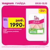Magnum 1620x1620 1 tov 2025 10 08T102403.014